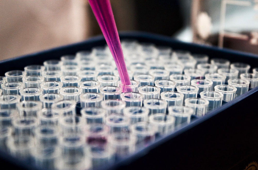 Liquid pored into test tubes