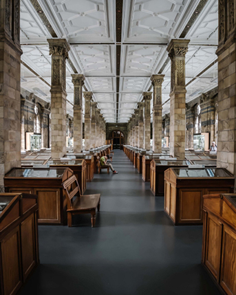 View of museum shop with architectural columns